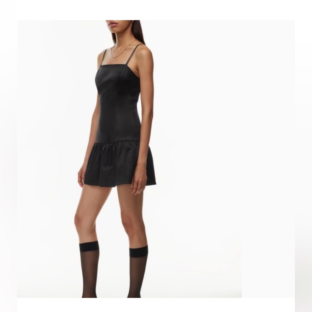 Aritzia Tango Dress
